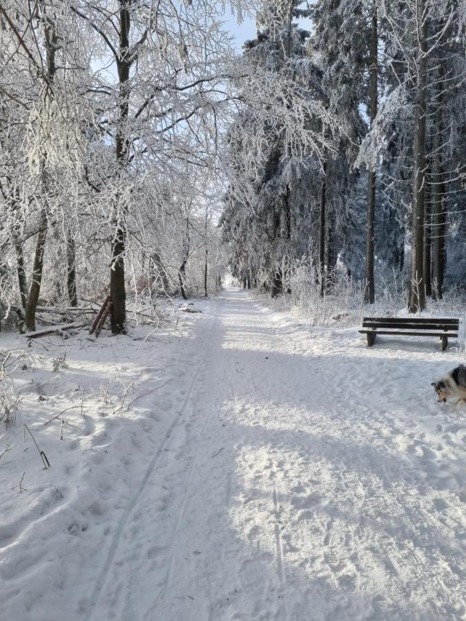 Ferienwohnung Schanzenblick Winterberg Eksteriør bilde